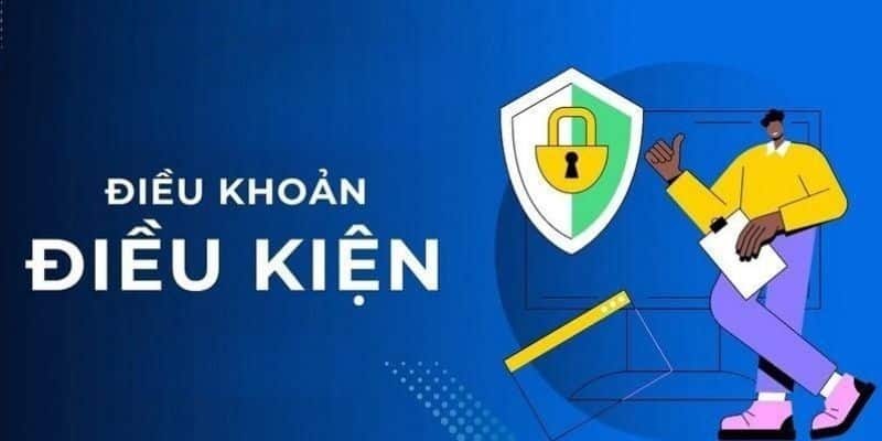 Điều khoản và điều kiện khi tham gia sử dụng dịch vụ cần biết