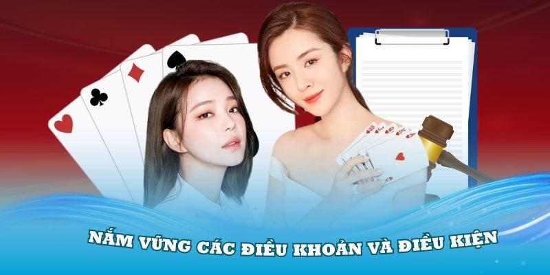 Giới thiệu thông tin cơ bản về điều khoản điều kiện