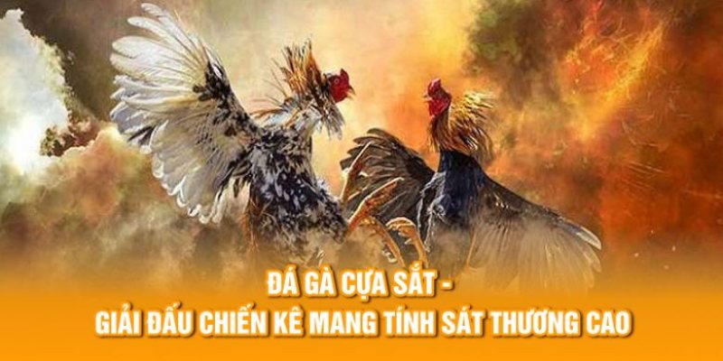 Lên kế hoạch đặt cược sao cho phù hợp với hoàn cảnh